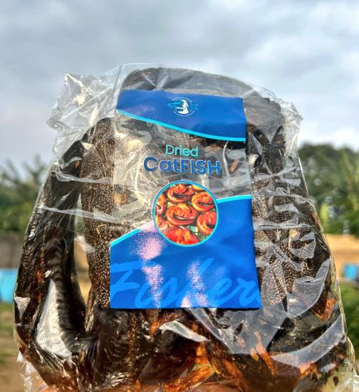 DRIED CATFISH CUTLETS